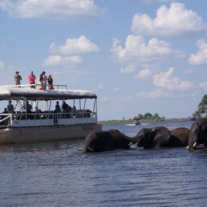 Wildlife Botswana: riviersafari
