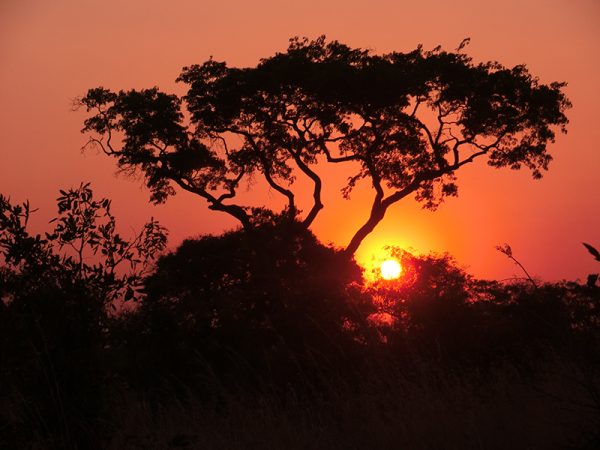 Natuur & luxe reis Zambia - Afbeelding 5