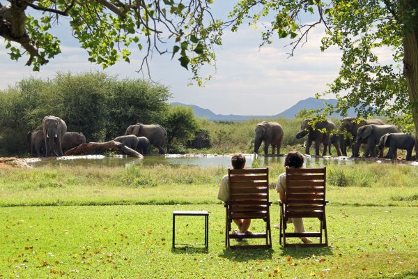 madikwe game reserve waterhole
