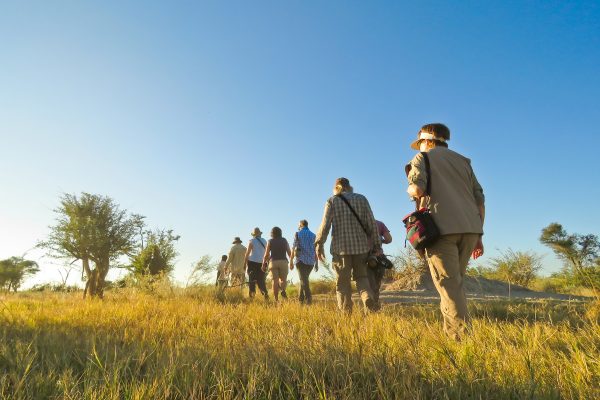 Bushwalk Okavango Delta