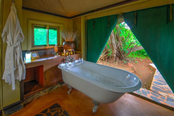 Safari door Zuid-Afrika: een avontuurlijke reis op maat - Afbeelding 5