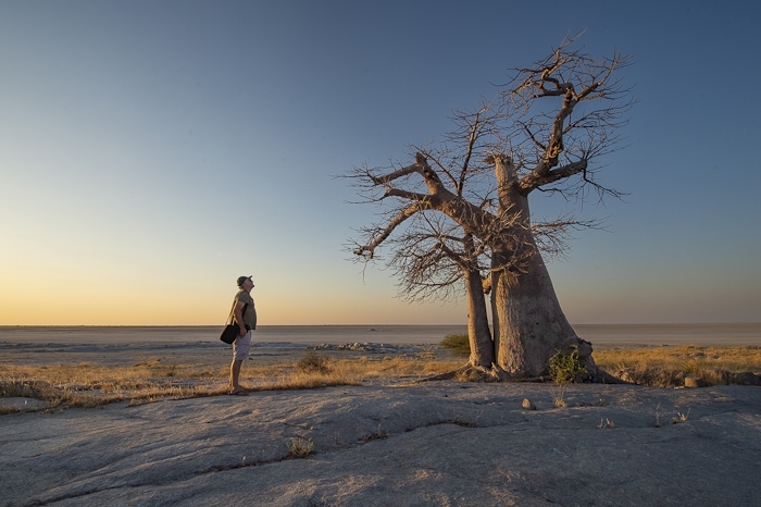 Botswana Trans Kalahari kampeerreis kleine groep - Afbeelding 11