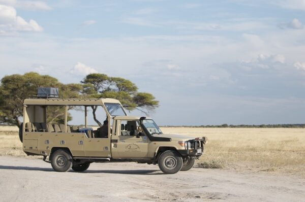 Windhoek naar Victoria Falls Elephant Track lodge reis kleine groep - Afbeelding 13
