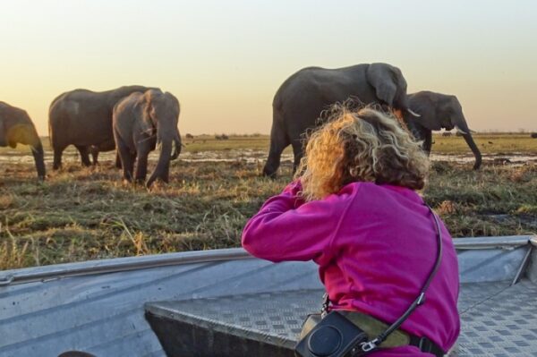 Windhoek naar Victoria Falls Elephant Track lodge reis kleine groep - Afbeelding 11