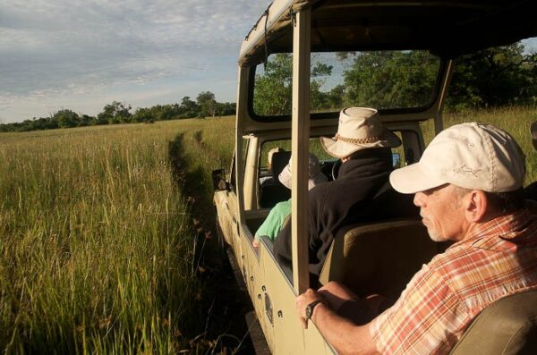 Desert & Delta lodge reis in kleine groep - Afbeelding 10