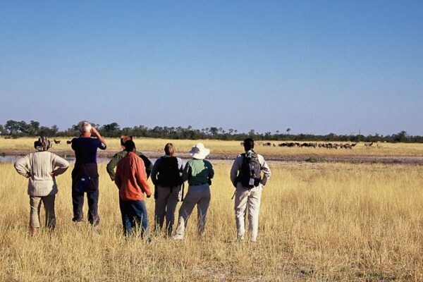 Desert & Delta lodge reis in kleine groep - Afbeelding 9