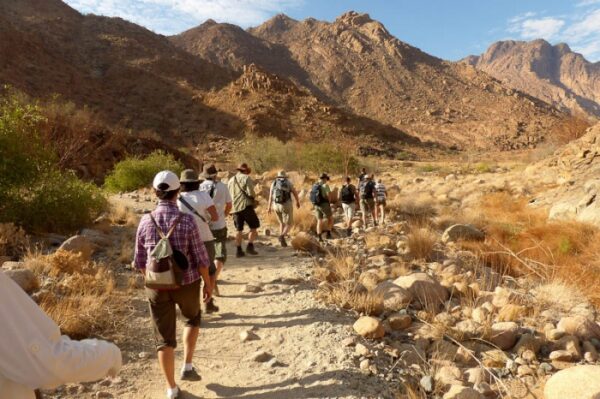 Windhoek naar Victoria Falls Elephant Track lodge reis kleine groep - Afbeelding 16