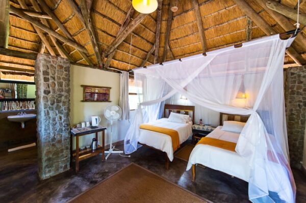 Windhoek naar Victoria Falls Elephant Track lodge reis kleine groep - Afbeelding 15