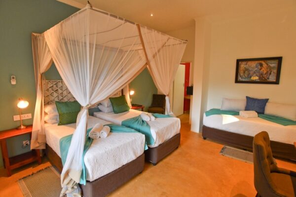 Windhoek naar Victoria Falls Elephant Track lodge reis kleine groep - Afbeelding 14