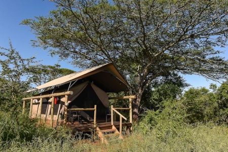 lodge safari vakantie