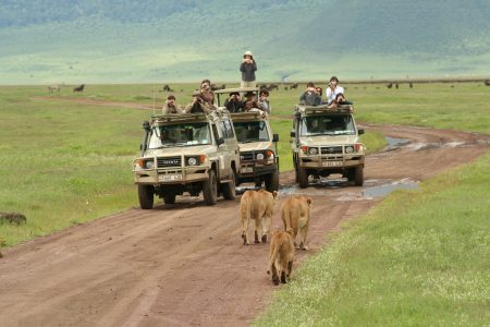 4x4 safari Botswana