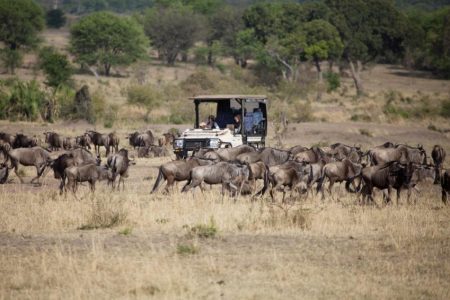 Privé safari