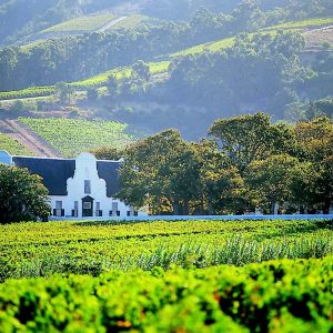 stellenbosch-wine-farm