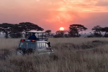 tanzania safari auto